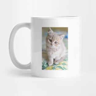 Gazing Kitty Mug